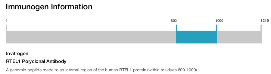 RTEL1 Polyclonal Antibody
