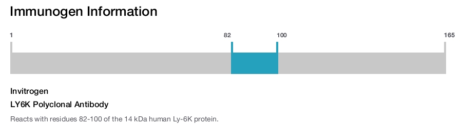 LY6K Polyclonal Antibody