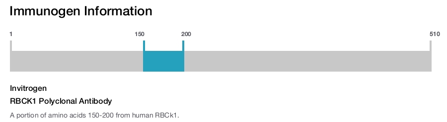 RBCK1 Polyclonal Antibody