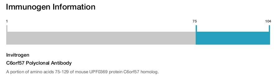 C6orf57 Polyclonal Antibody