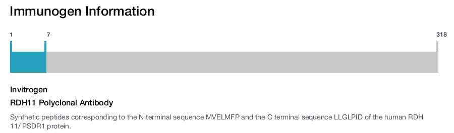 RDH11 Polyclonal Antibody