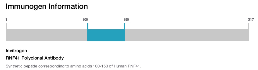 RNF41 Polyclonal Antibody
