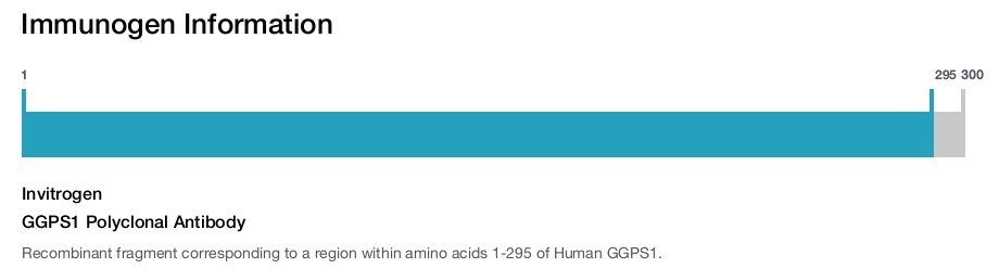 GGPS1 Polyclonal Antibody