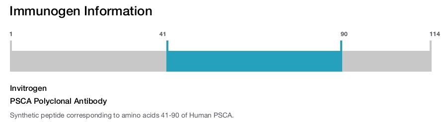 PSCA Polyclonal Antibody