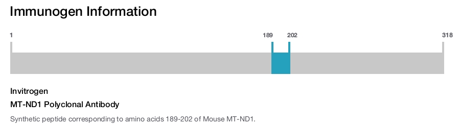 MT-ND1 Polyclonal Antibody