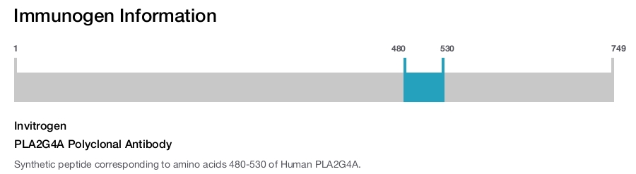 PLA2G4A Polyclonal Antibody