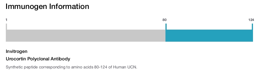 Urocortin Polyclonal Antibody