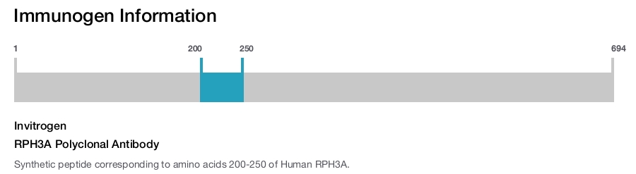RPH3A Polyclonal Antibody