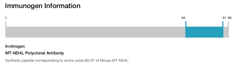 MT-ND4L Polyclonal Antibody