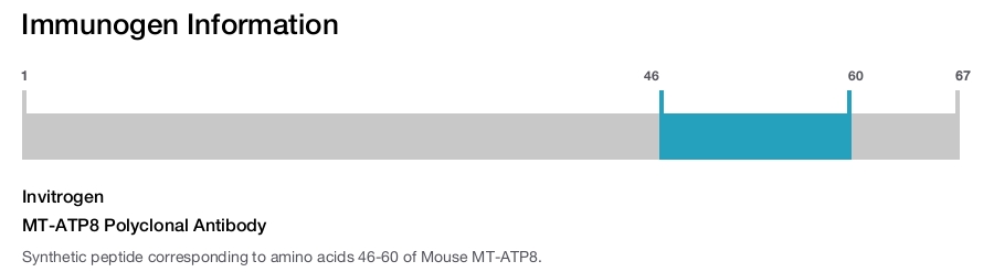 MT-ATP8 Polyclonal Antibody