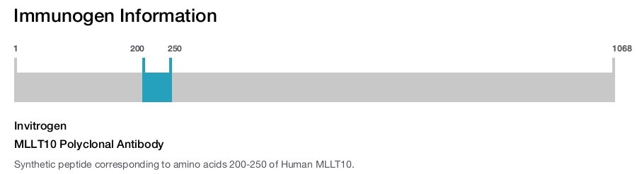 MLLT10 Polyclonal Antibody