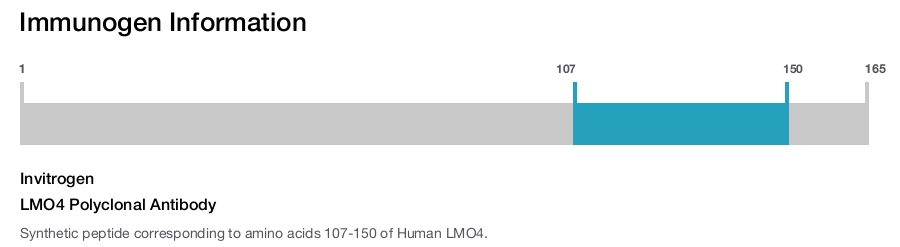 LMO4 Polyclonal Antibody