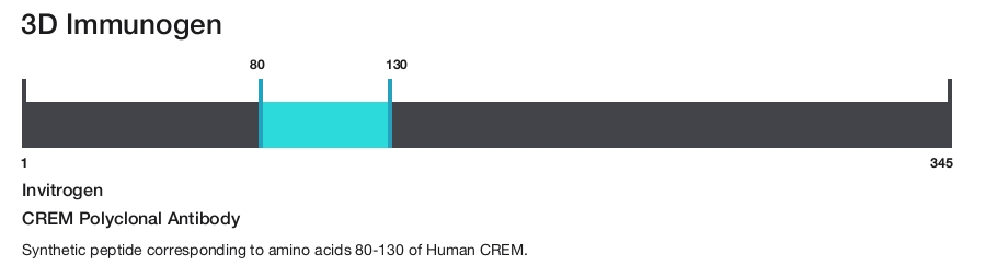 CREM Polyclonal Antibody