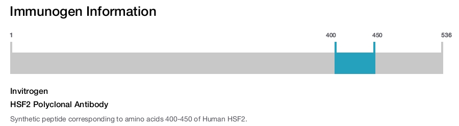 HSF2 Polyclonal Antibody