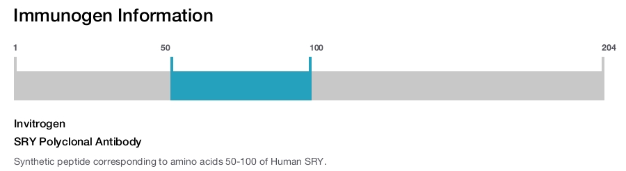 SRY Polyclonal Antibody