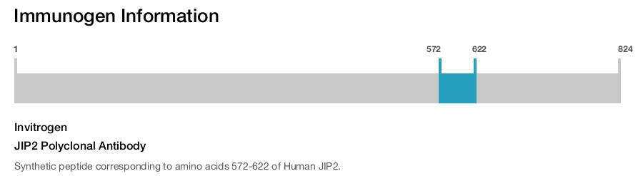 JIP2 Polyclonal Antibody