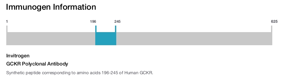 GCKR Polyclonal Antibody