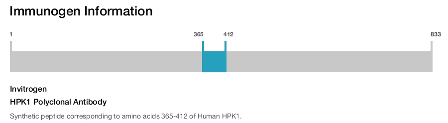 HPK1 Polyclonal Antibody