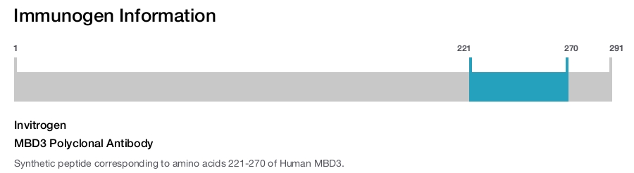 MBD3 Polyclonal Antibody