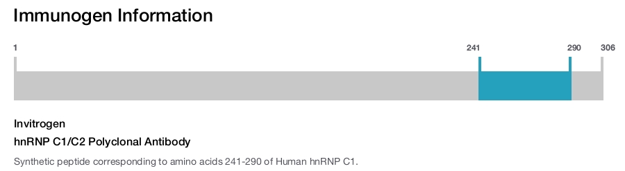 hnRNP C1/C2 Polyclonal Antibody