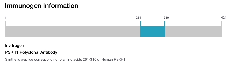 PSKH1 Polyclonal Antibody