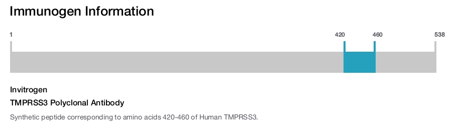 TMPRSS3 Polyclonal Antibody
