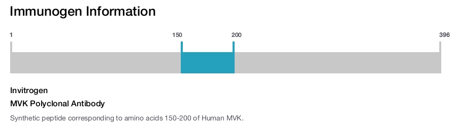 MVK Polyclonal Antibody
