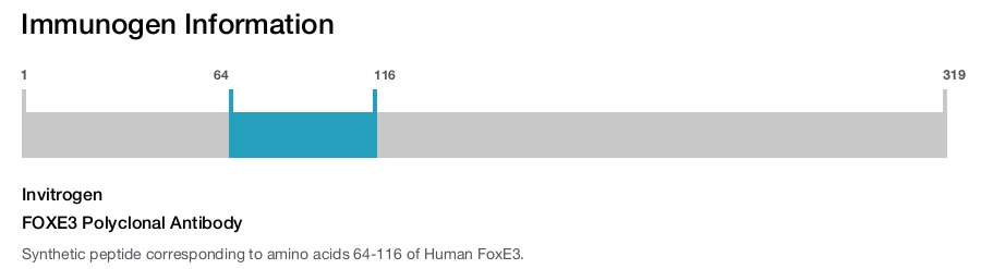 FOXE3 Polyclonal Antibody