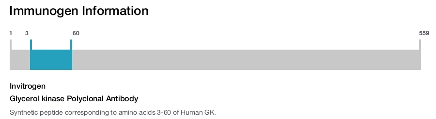 Glycerol kinase Polyclonal Antibody