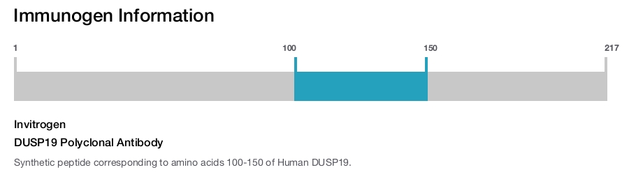 DUSP19 Polyclonal Antibody