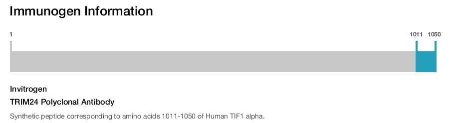 TRIM24 Polyclonal Antibody
