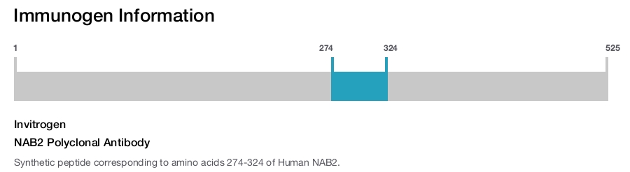 NAB2 Polyclonal Antibody