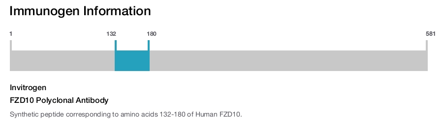 FZD10 Polyclonal Antibody