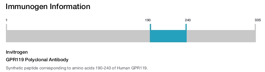 GPR119 Polyclonal Antibody