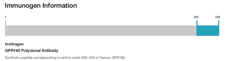 GPR160 Polyclonal Antibody