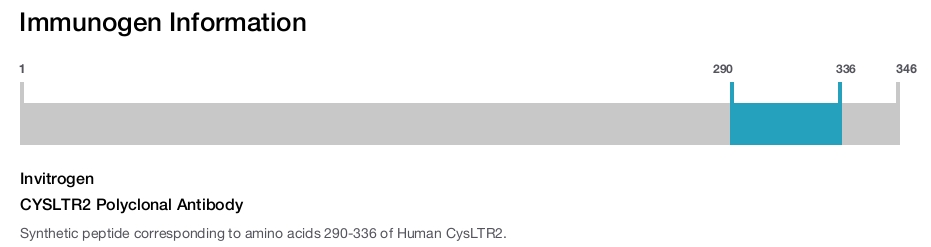 CYSLTR2 Polyclonal Antibody