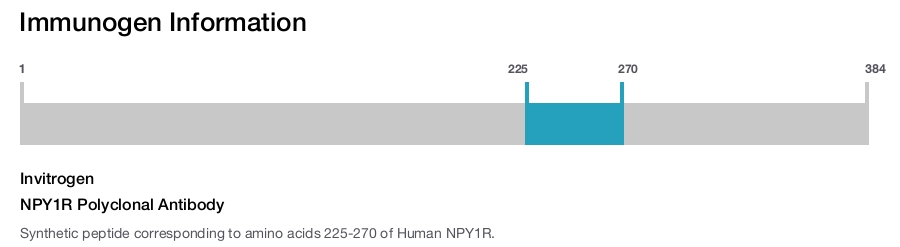 NPY1R Polyclonal Antibody