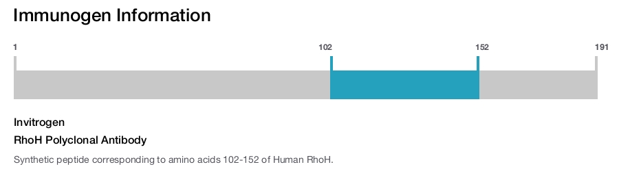 RhoH Polyclonal Antibody
