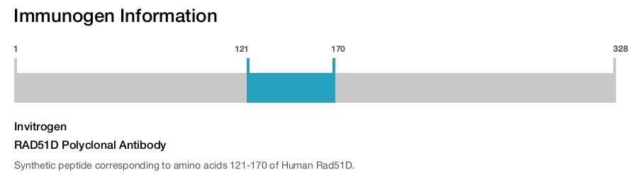 RAD51D Polyclonal Antibody