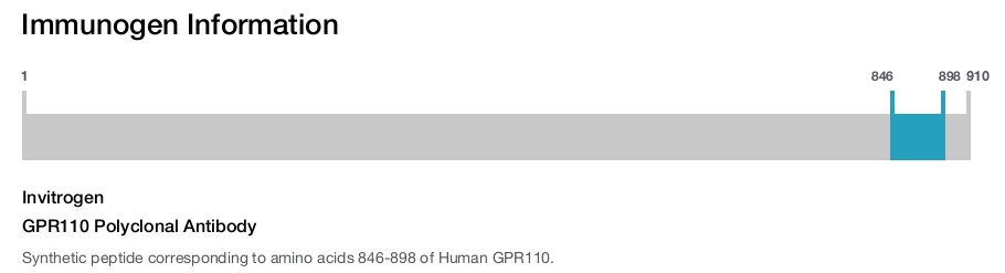 GPR110 Polyclonal Antibody