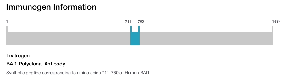 BAI1 Polyclonal Antibody