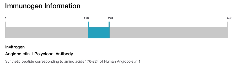 Angiopoietin 1 Polyclonal Antibody