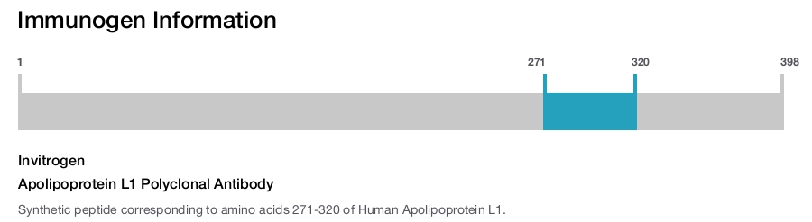 Apolipoprotein L1 Polyclonal Antibody