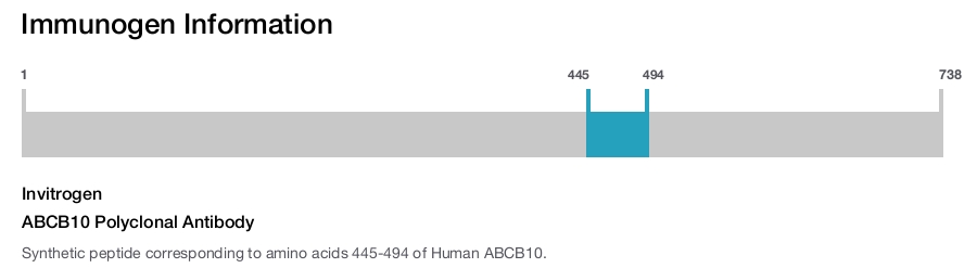 ABCB10 Polyclonal Antibody