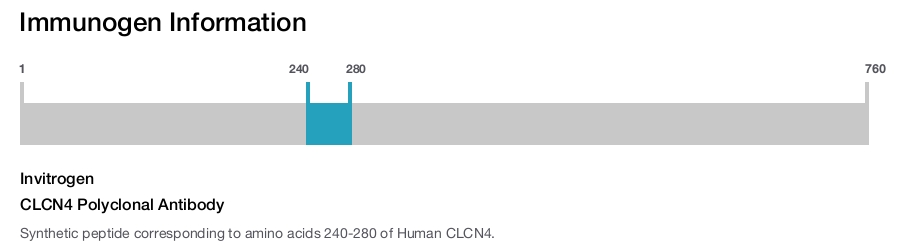 CLCN4 Polyclonal Antibody