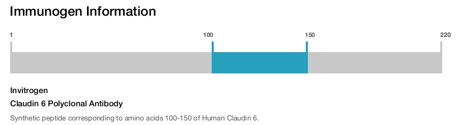 Claudin 6 Polyclonal Antibody