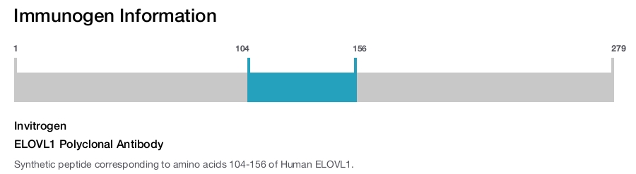 ELOVL1 Polyclonal Antibody