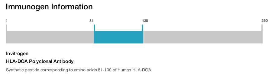 HLA-DOA Polyclonal Antibody