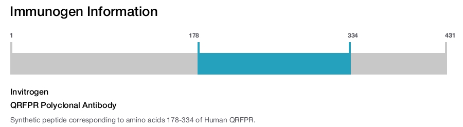 QRFPR Polyclonal Antibody