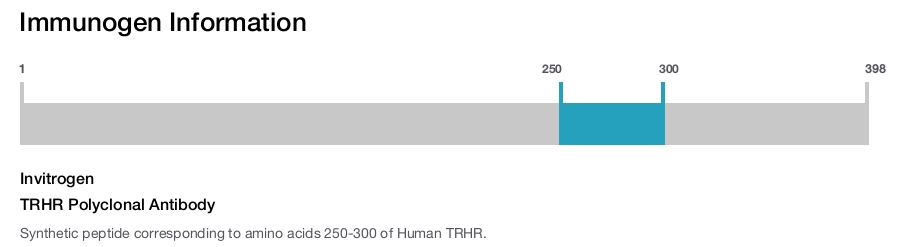 TRHR Polyclonal Antibody